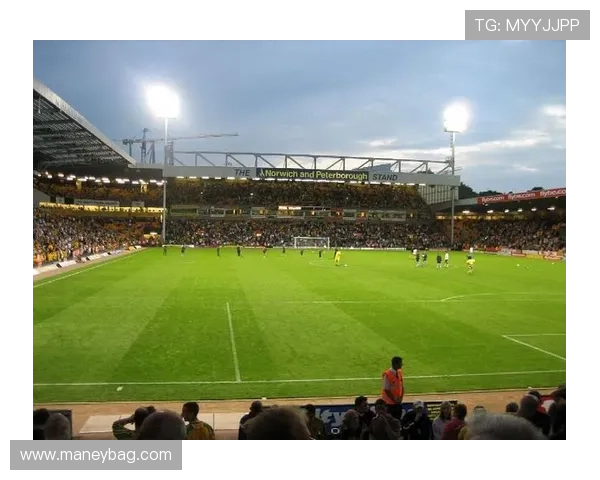 围绕诺维奇俱乐部探讨球队历史文化与未来战略发展脉络解析全景洞察